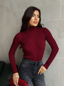 Ribbed knit turtleneck